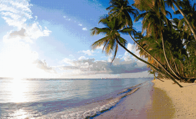 640_391gif 动态图 动图