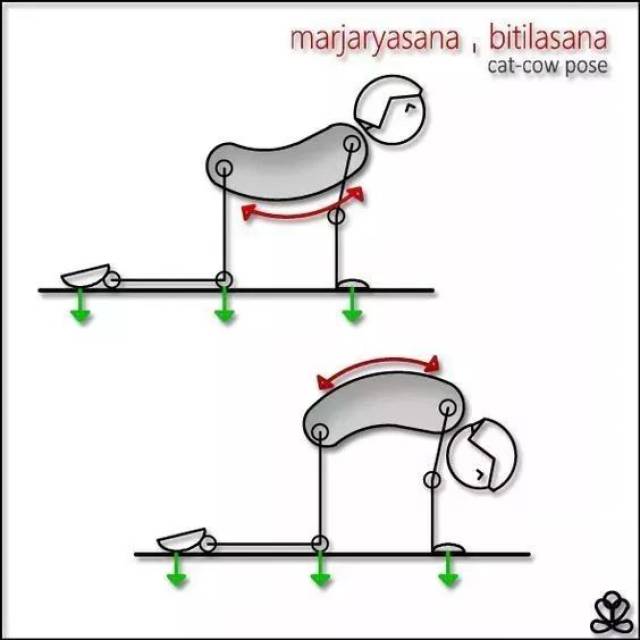 史上最全猫牛式解析