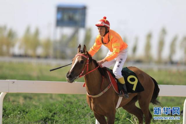 库尔勒2018赛马大会系列赛助力"体育 旅游"发展新模式