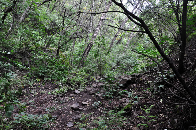 北京周边的高山草甸,张家口大黑峰