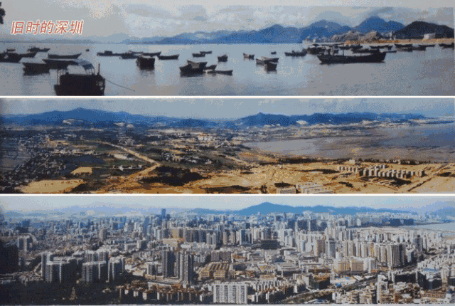 沈会长说: 亮点一:展览地点有讲究 深圳是改革开放的标志性城市.