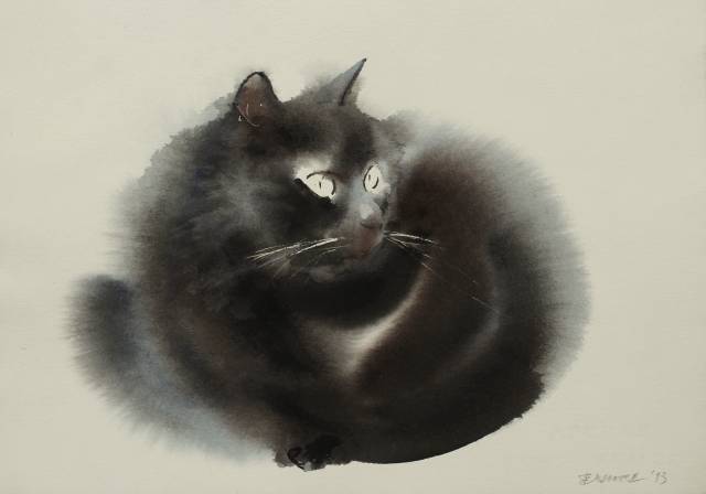 Endre Penovac的水彩画猫| Cat_搜狐网