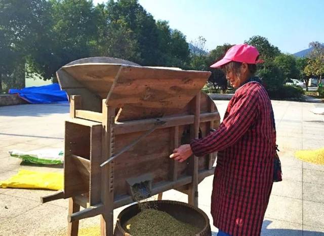 估计不多了 在没有电钻的时代,这可是农人的宠儿 现在,失宠了 【 谷风