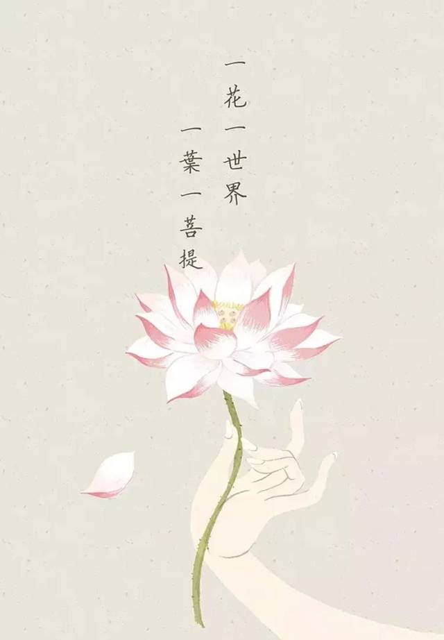 一叶一菩提是什么意思『一花一草一世界一叶一菩提是什么意思』