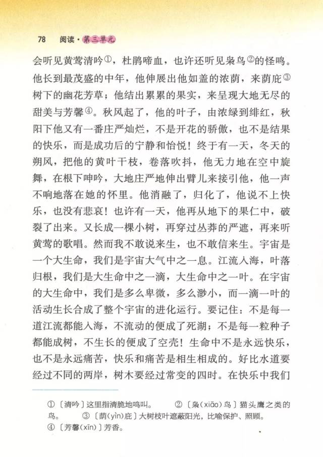 谈生命丨那些年我们一起读过的课文