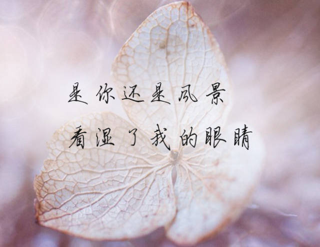 餘生不打擾,望各自安好