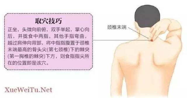 大杼的准确位置图作用图片