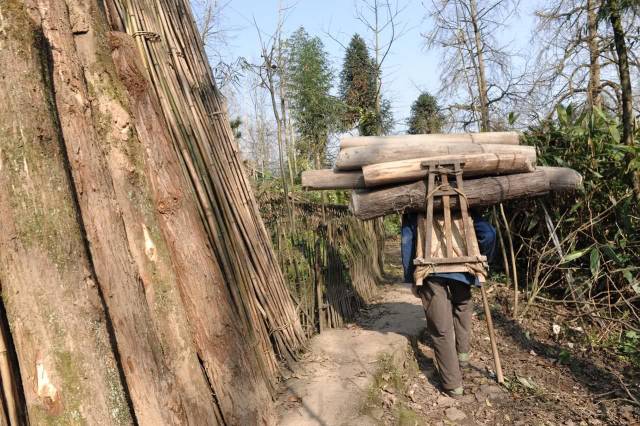 背夹子看似简单,却能够背柴火,稻草,木头,粮食,在上个世纪四川农村