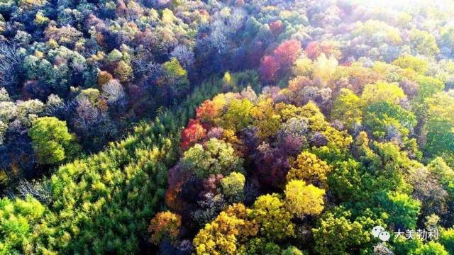 美翻了,秋高气爽大美勃利,光看图已醉!