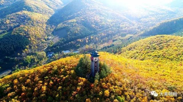 美翻了,秋高气爽大美勃利,光看图已醉!