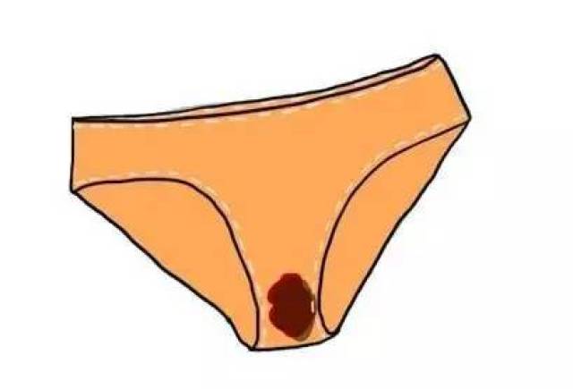内裤