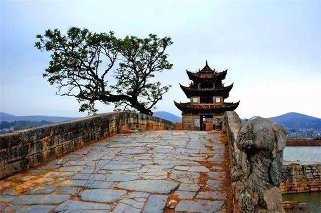 我愿意用10个昆明和来换!