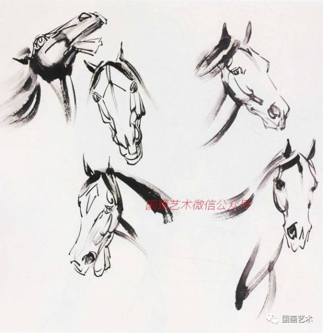 图文教程:写意骏马画法