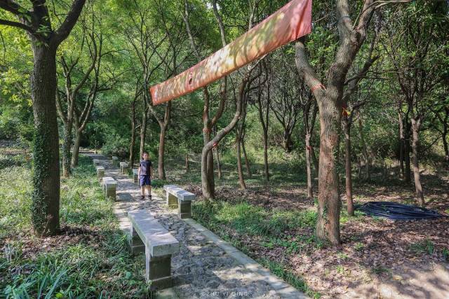 叠石,以石着胜,传为吴王爱女之别官所在;十二生肖石,石临太湖,玲珑嵌