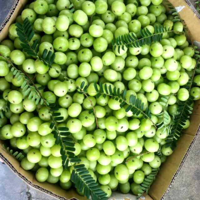 食材分享|潮汕人一直忘不了的美味果子——油甘,你懂得品尝吗