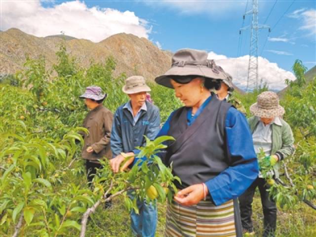 察雅县吉塘镇美女图片