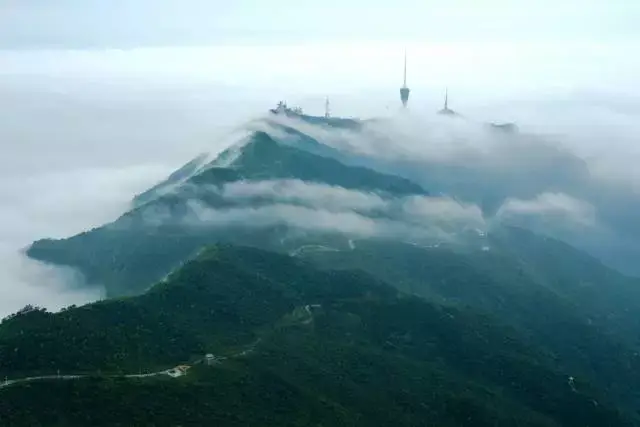 大梧桐是深圳第一高峰