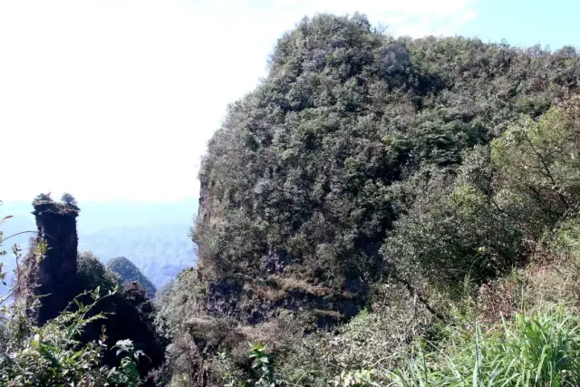 尋景秀山:我們在