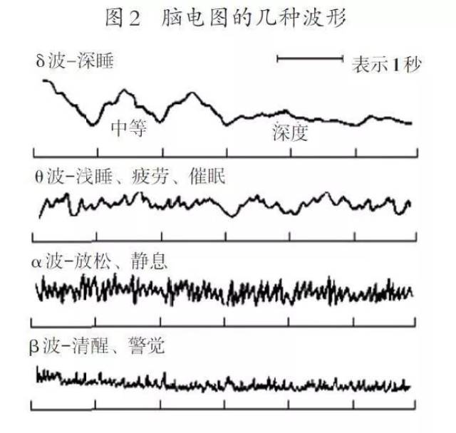 当处在紧张状态下,大脑产生的是β波;当身体放松