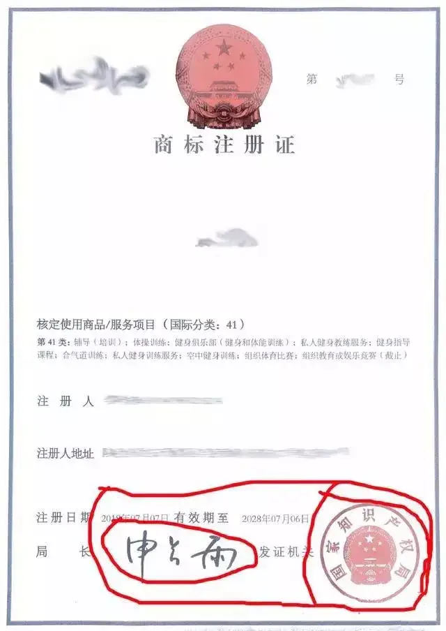 您的商标注册证是哪一版呢?