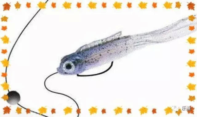 精细钓组之——咬铅钓组