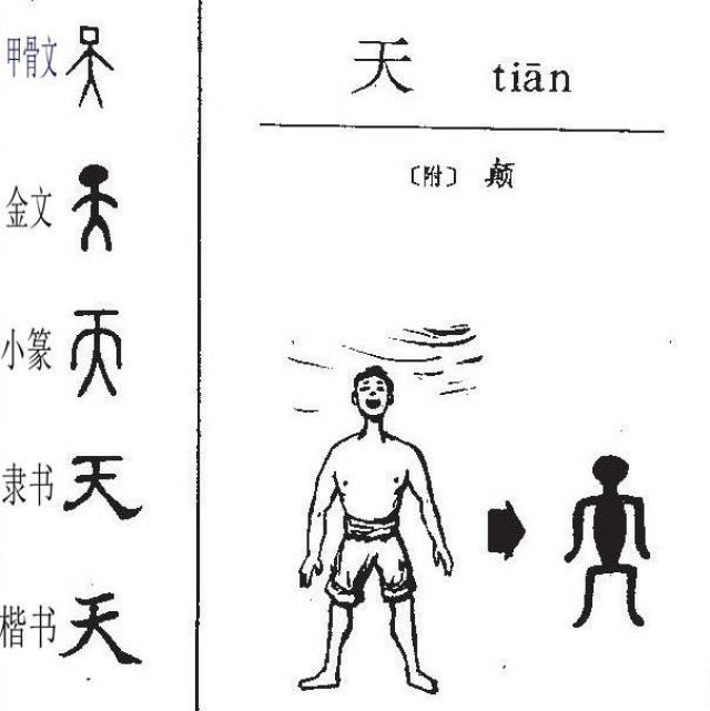 天字的演变过程图画图片