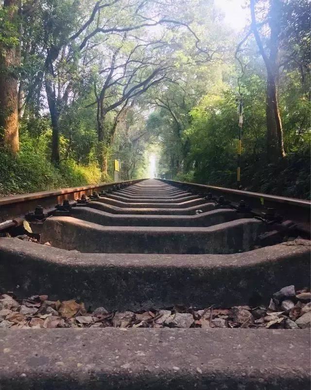 金秋下的韶关最美铁路,宁静而祥和.