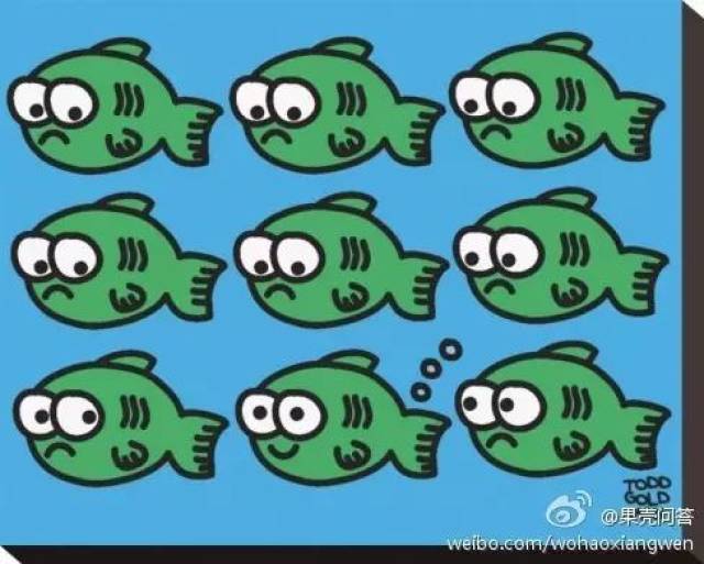 放屁?鱼会也会放屁?