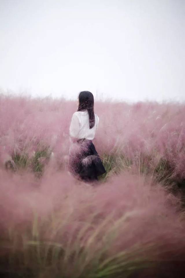 成都这6处粉色花海宛如仙境!趁着还未被抖音大军发现,赶紧去