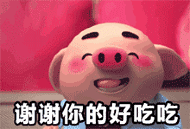 猪吃东西的表情包gif图片