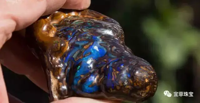 欧泊 拥有梦幻般的色彩