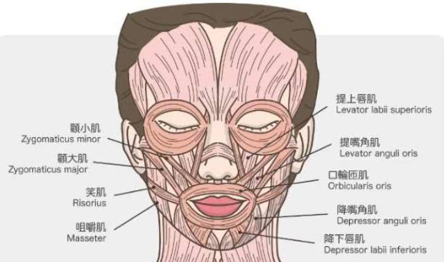 见过整残变歪嘴,歪脸的,周洁琼连苹果肌都歪掉了