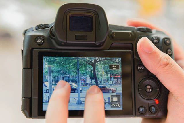 专业微单能否比肩专业单反 佳能eos r相机上手初体验-科技频道-手机搜