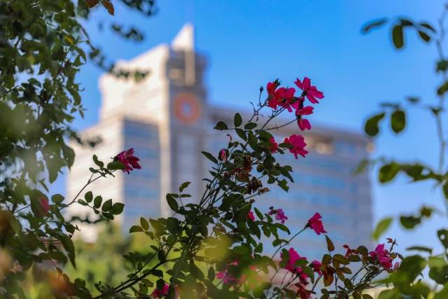 兰州交大魅影丨@甘肃校园秋景,快来pk