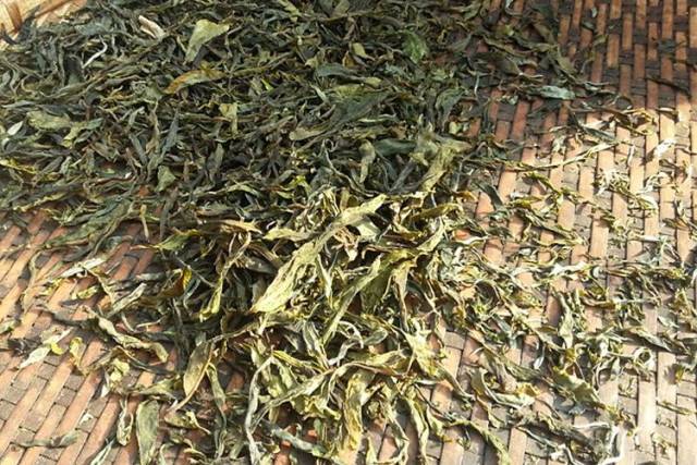 一种是老黄片:即茶叶中的老叶子,质地坚硬,木质化特征明显;另一种是小