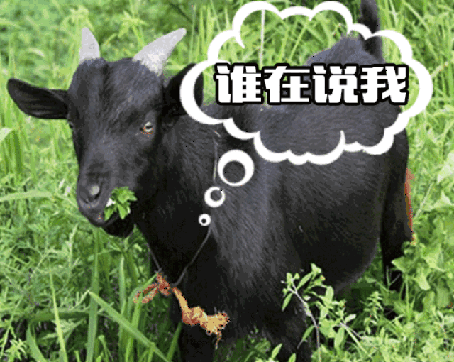 548_437gif 动态图 动图