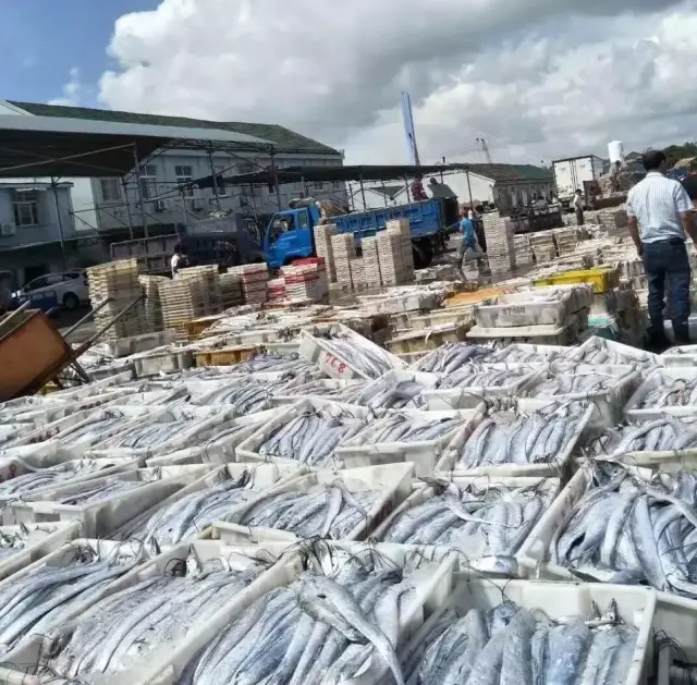 这种带鱼,吃过的都说"顶好吃"!