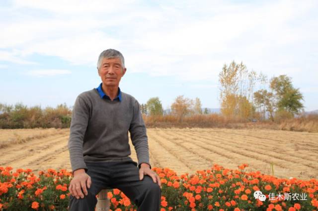 老孙头便找来了村里的一台收割机,浩浩荡荡地开进了自家的水稻承包田