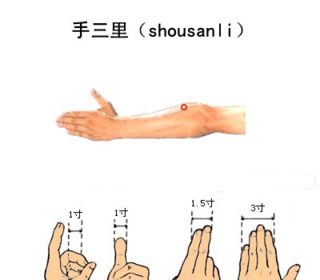 手三里针刺深度,手三里疼,手三里位置_大山谷图库