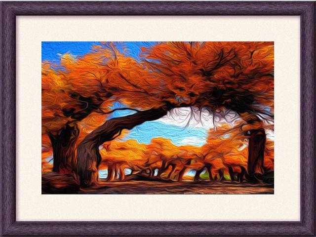 阿拉善盟——胡杨林