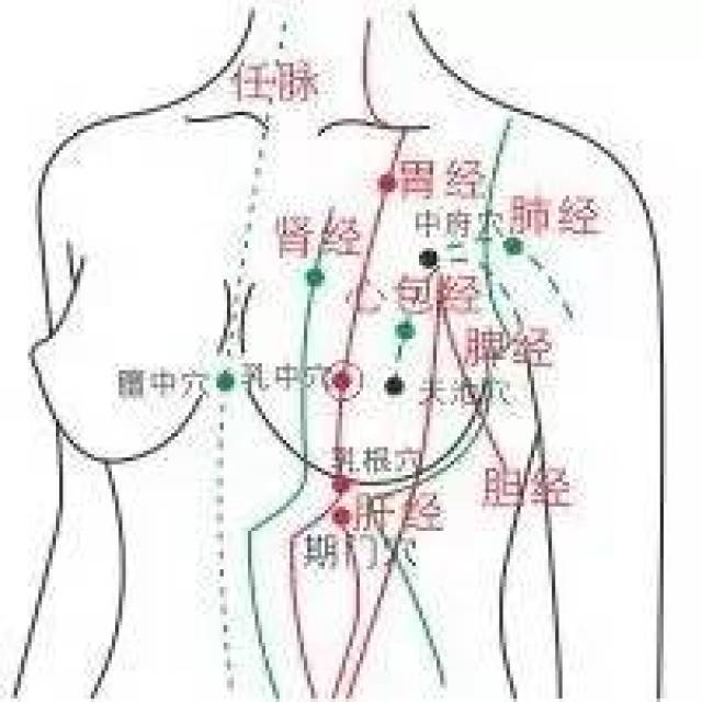 經絡篇直接通過乳房的經絡有9條【肺經,心包經,心經,任脈,腎經,胃經