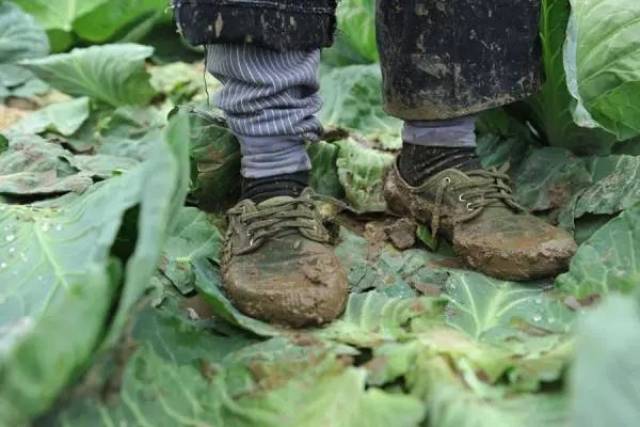 东北这旮沓下雪了?瞬间刷爆了朋友圈,但最糟心最上火的是他们