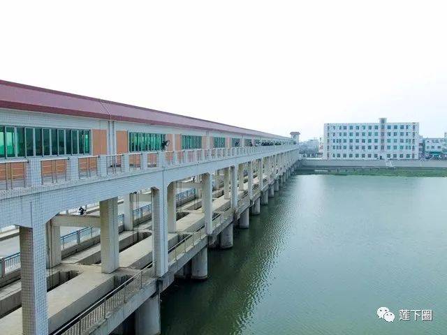 ▼莲阳桥闸▼