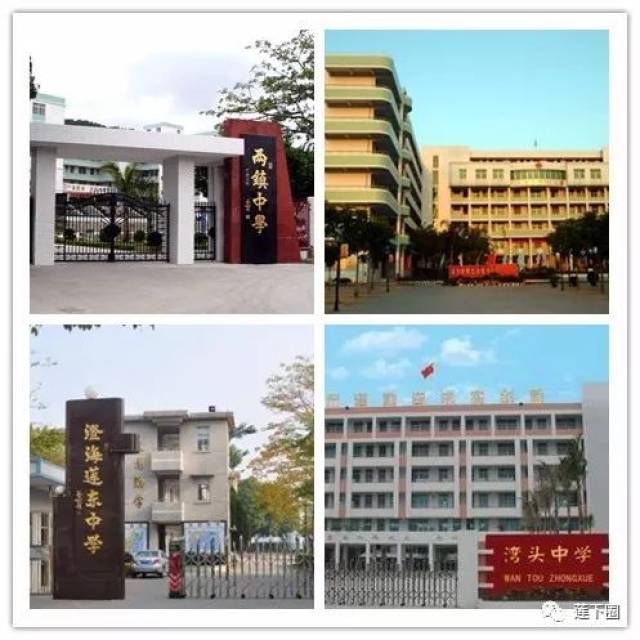 【厉害】澄海莲下,东里镇入围千强镇行列!