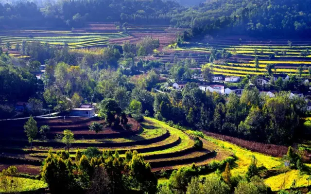 【摄影】我与徽县庙湾村田园风光的完美邂逅