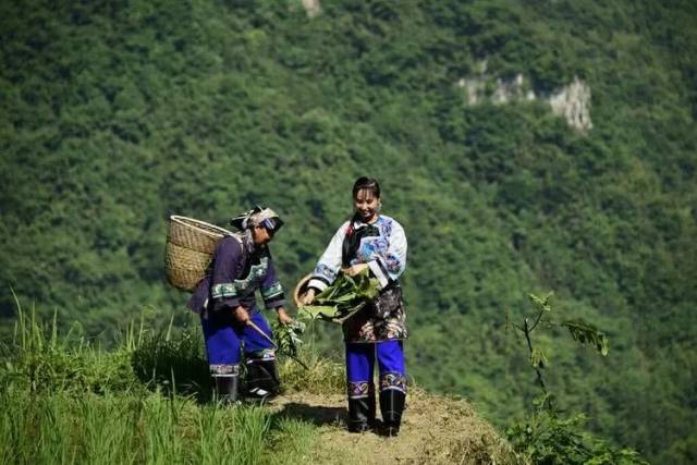 海量組圖,關於花垣的民俗風土人情和風光!