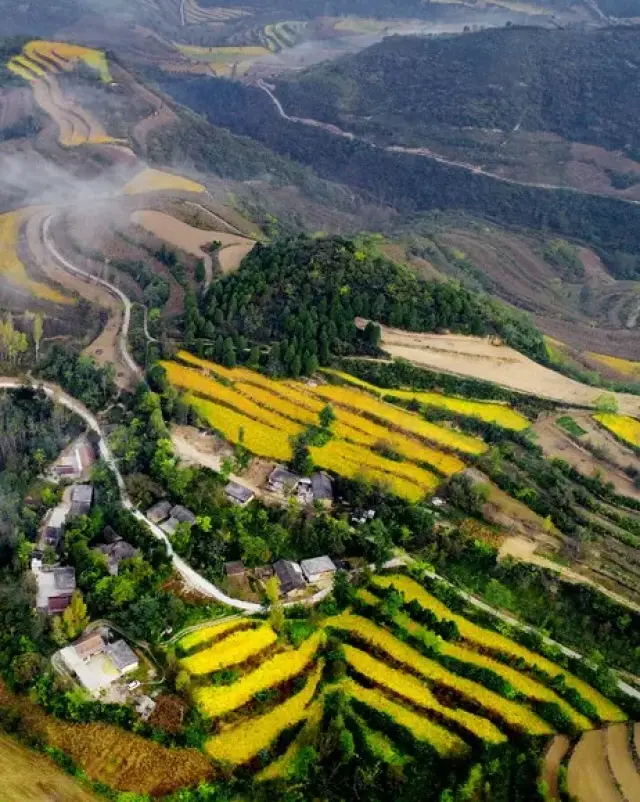 【摄影】我与徽县庙湾村田园风光的完美邂逅