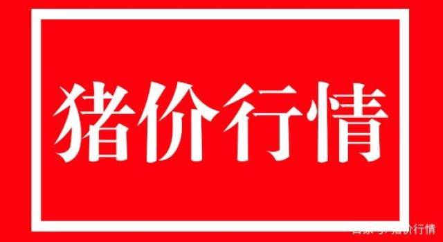 「今日猪价,多地破8」2018-10-11全国生猪价格持续走高