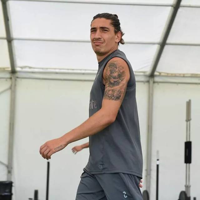 重新认识贝莱林