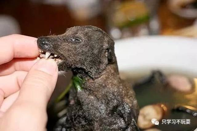 印尼狠菜蝙蝠汤,端上来我就吓尿了